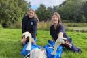 Park rangers have moved the swans from Springburn Park