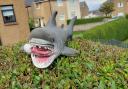 John Scott from Port Glasgow spotted this terrifying beast while walking his pooch. Forget guard dogs. Guard sharks are clearly the future of home security… (Image: John Scott)