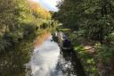 Haigh Woodland Park is 30 minutes in the car from Bolton and could become your new favourite dog walking spot